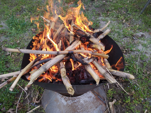 A proof-of-concept Pi Biochar Fire pit with burning corn stalks, used to create biochar.